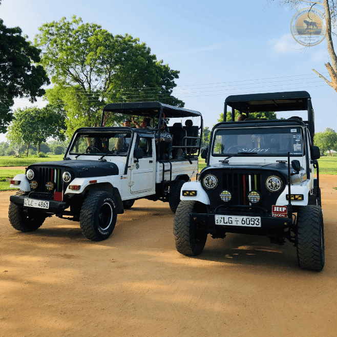 Custom-built 4x4 safari jeep for wildlife tours in Udawalawa National Park
